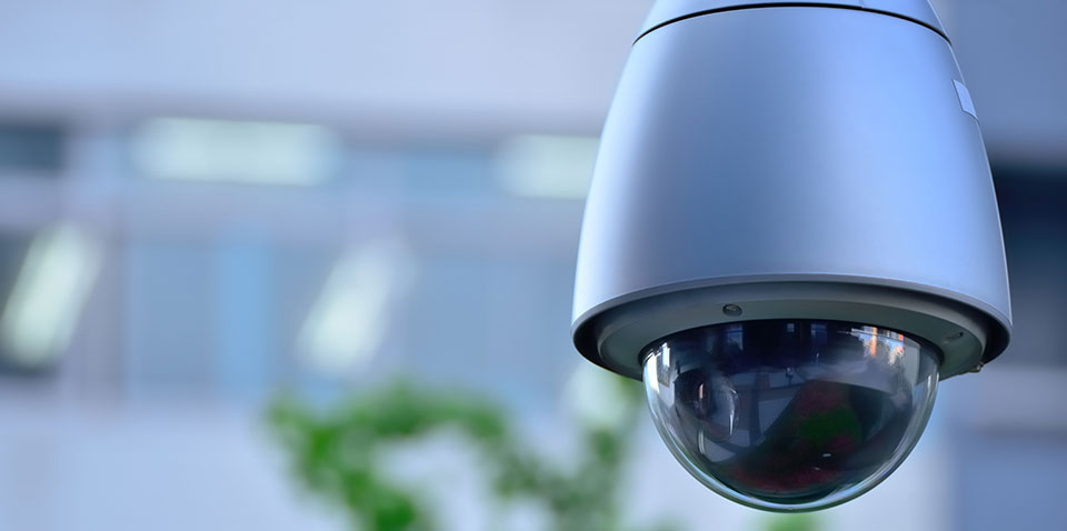 decoy-security-cam Security Camera